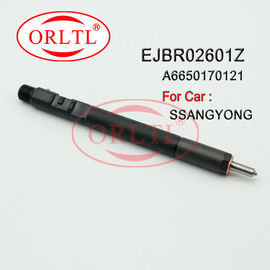 Inyector de combustible auto de Delphi Common Rail Injection EJBR02601Z (A6650170121) EJB R02601Z EJBR0 2601Z para SSANGYONG Kyron